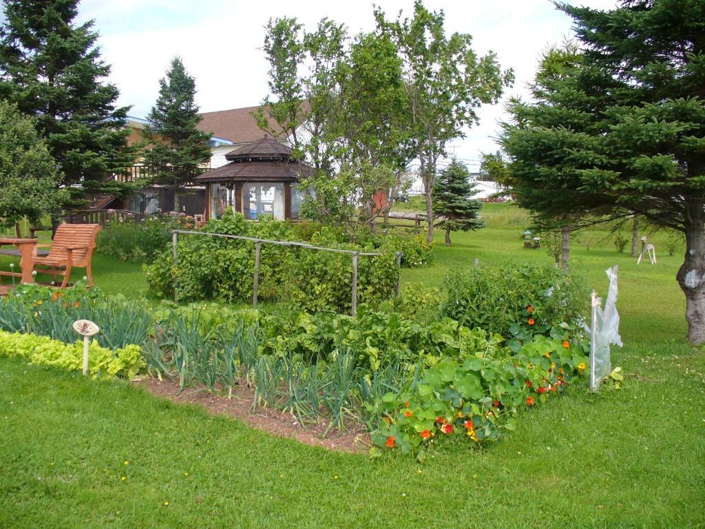 Gite Parfum De Mer Bed And Breakfast Pabos Esterno foto